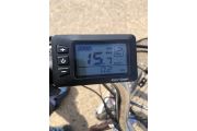 Triciclo Eléctrico para Adultos Eureka Marrón Mate
