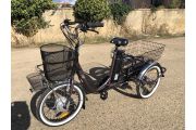 Triciclo Eléctrico para Adultos Eureka Marrón Mate