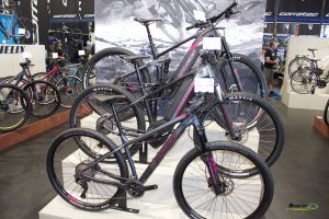 Bergamont MTB